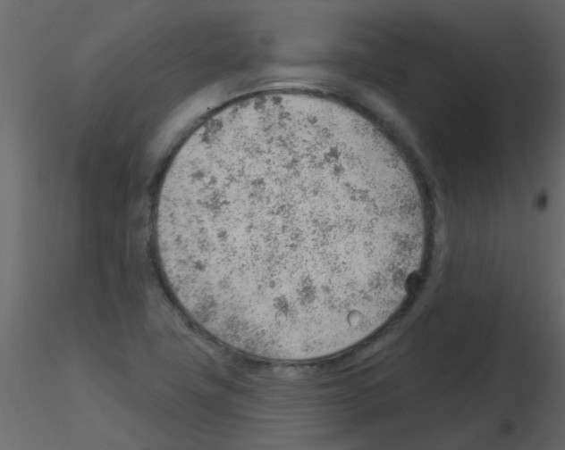 X0000115771411200912241740