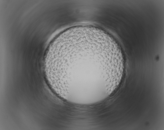 X0000115771412200912241740
