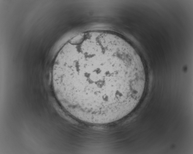 X0000115771413200912241740