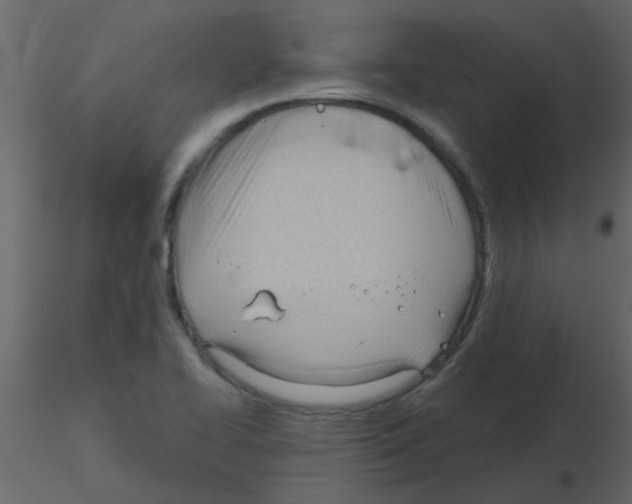 X0000115771414200912241740