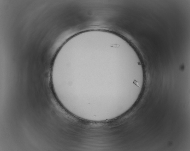 X0000115771415200912241740