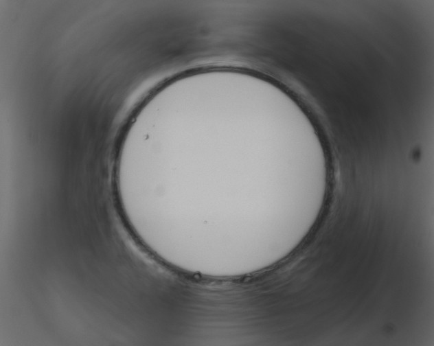X0000115771416200912241740