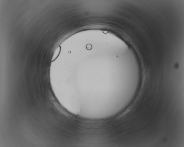 X0000115771417200912241740