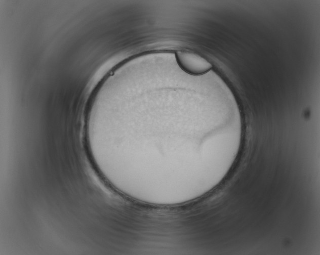 X0000115771418200912241740