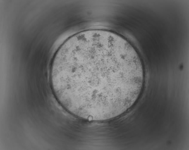 X0000115771419200912241740