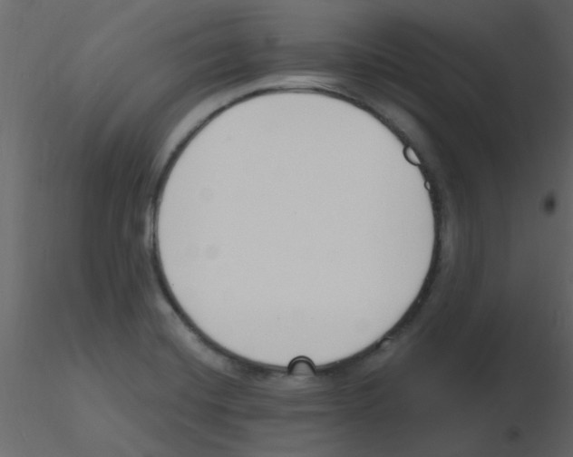 X0000115771420200912241740
