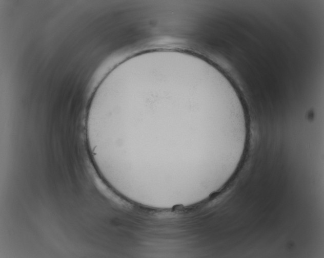 X0000115771421200912241740