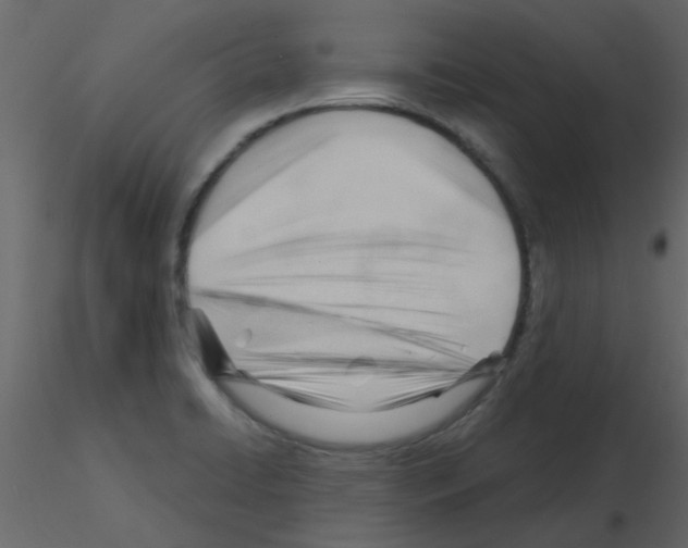 X0000115771422200912241740