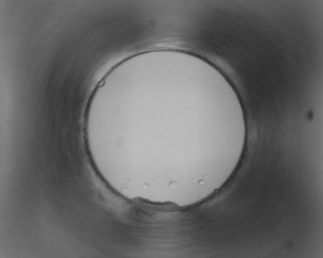 X0000115771423200912241740