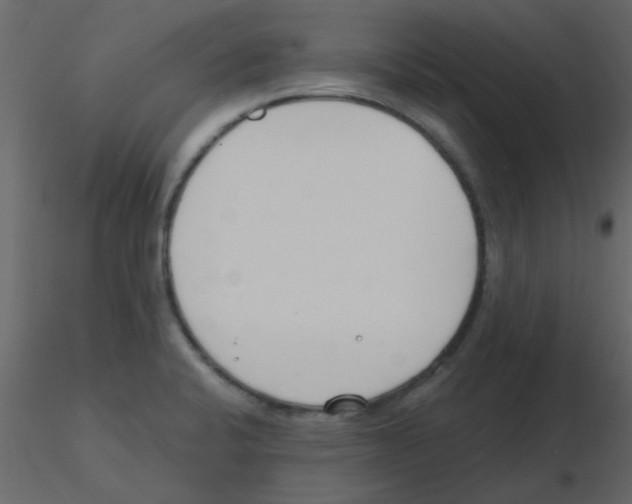 X0000115771424200912241740