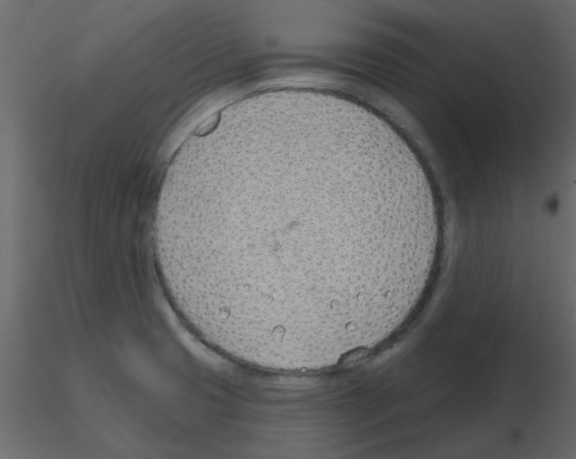 X0000115771425200912241740