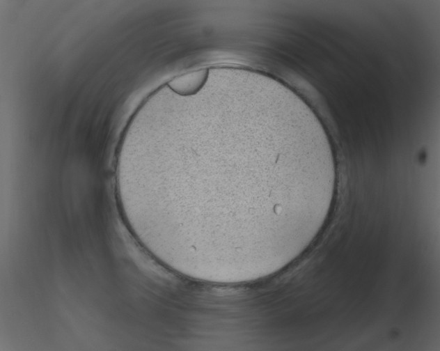 X0000115771427200912241740