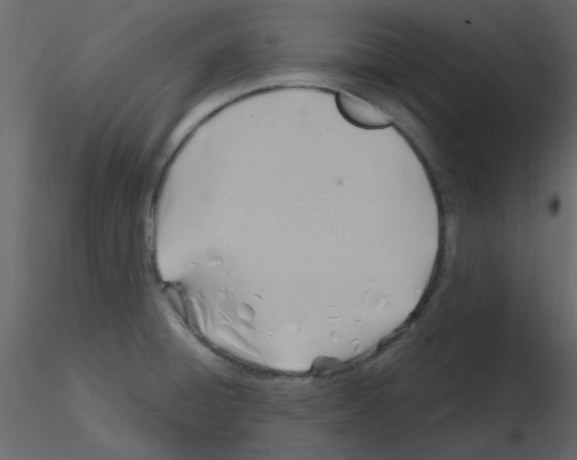 X0000115771428200912241740