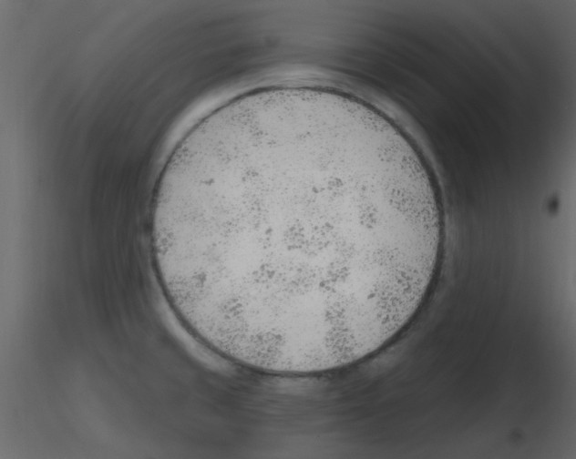 X0000115771429200912241740
