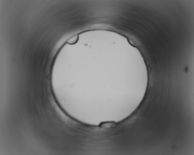 X0000115771430200912241740
