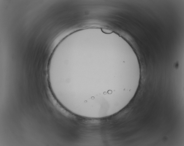 X0000115771431200912241740