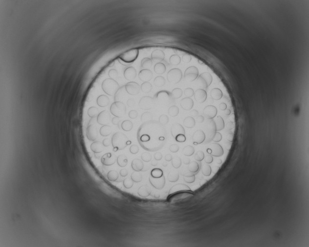 X0000115771432200912241740