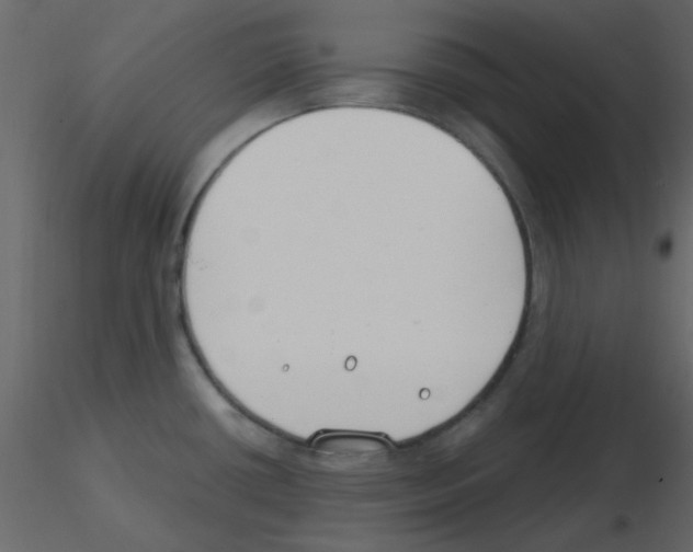 X0000115771434200912241740