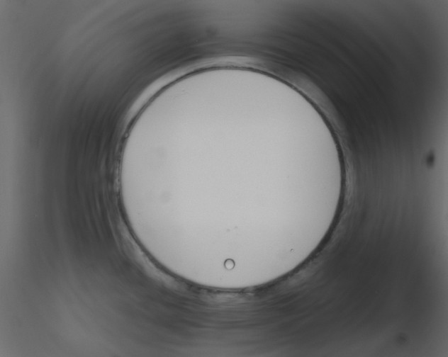 X0000115771436200912241740