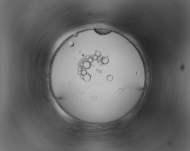 X0000115771438200912241740