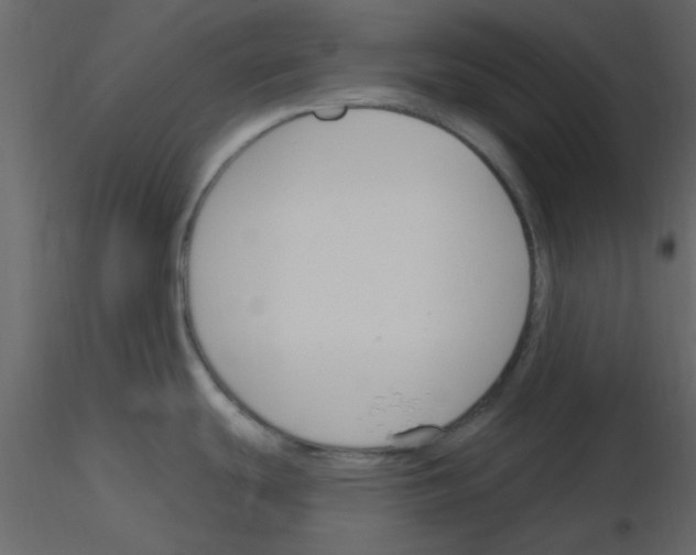 X0000115771439200912241740