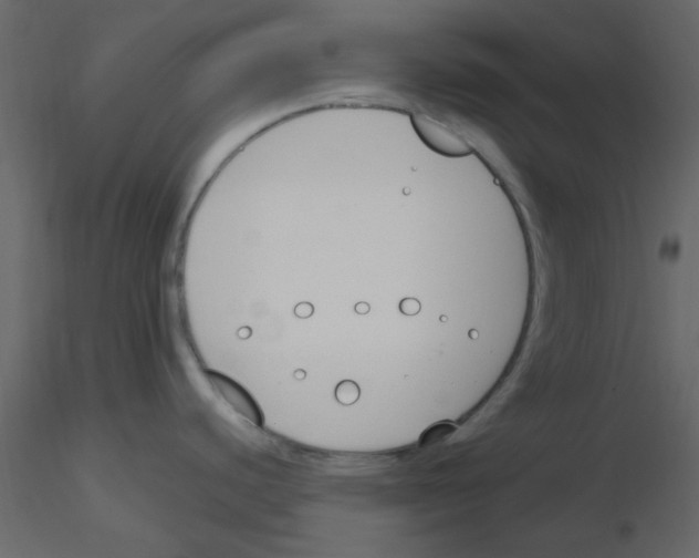 X0000115771440200912241740