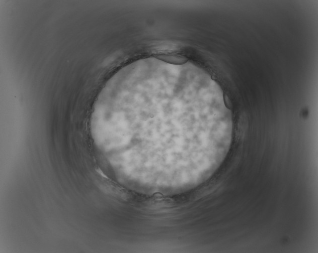 X0000115771441200912241740