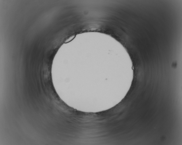 X0000115771442200912241740