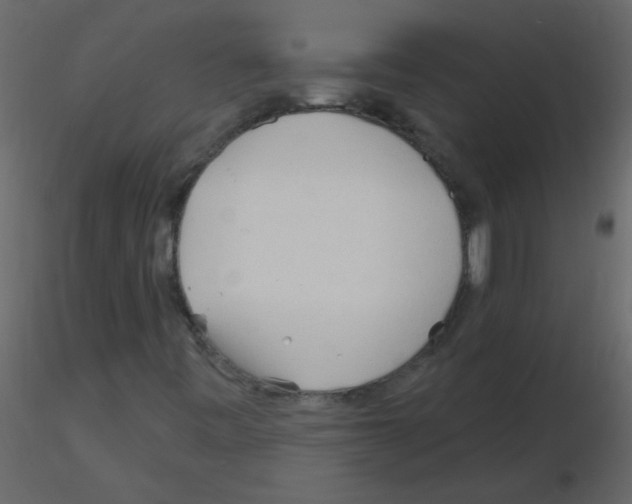 X0000115771443200912241740