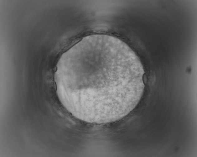 X0000115771445200912241740