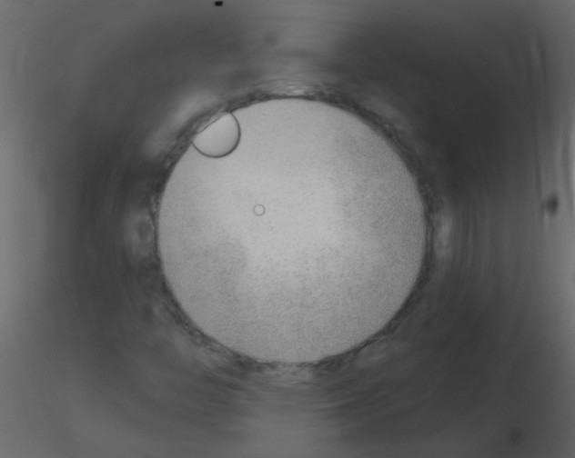 X0000115771446200912241740