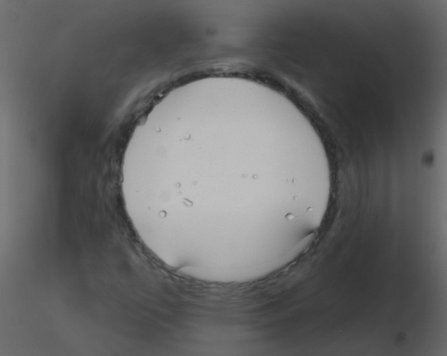 X0000115771447200912241740