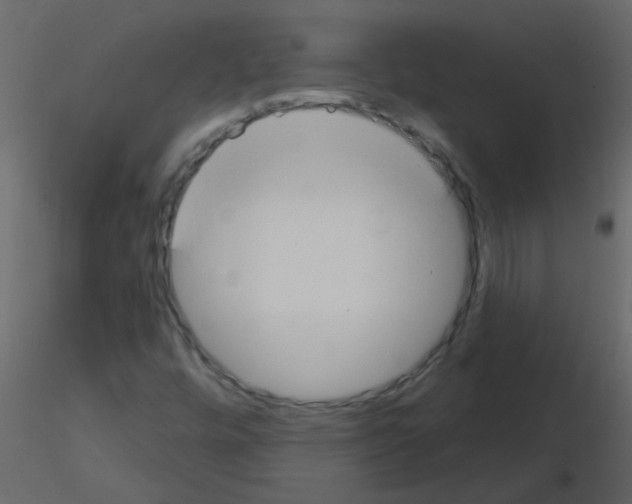 X0000115771448200912241740