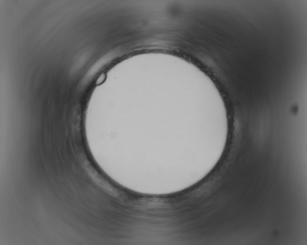 X0000115771450200912241740