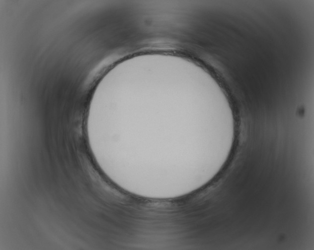 X0000115771451200912241740