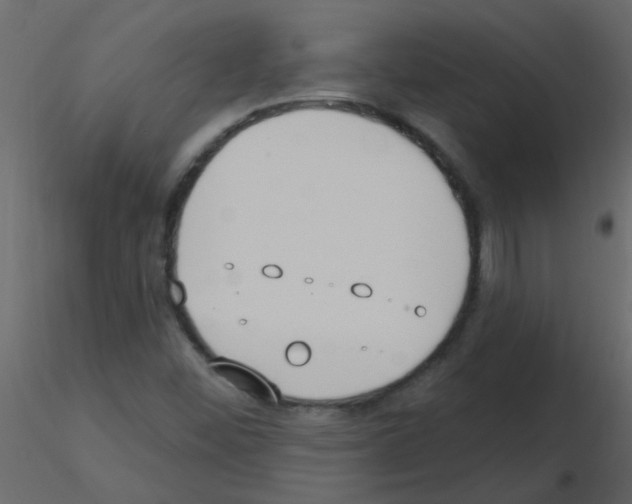 X0000115771452200912241740