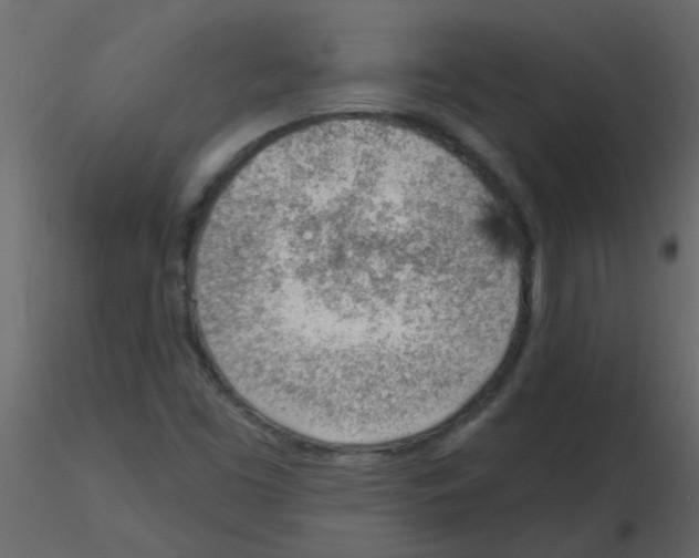 X0000115771453200912241740