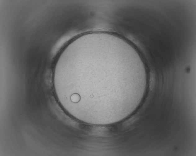 X0000115771454200912241740