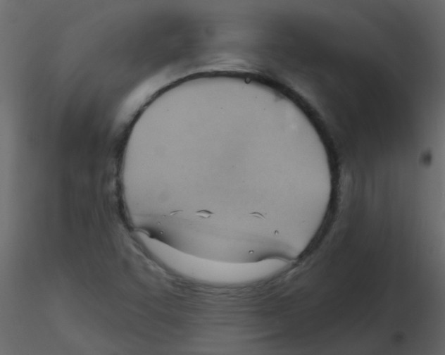 X0000115771455200912241740