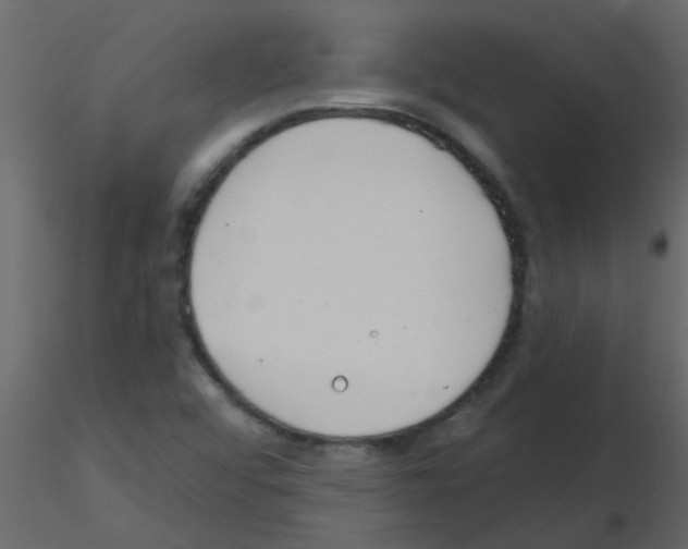 X0000115771456200912241740