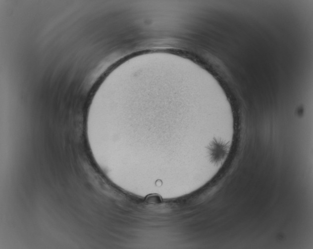 X0000115771457200912241740