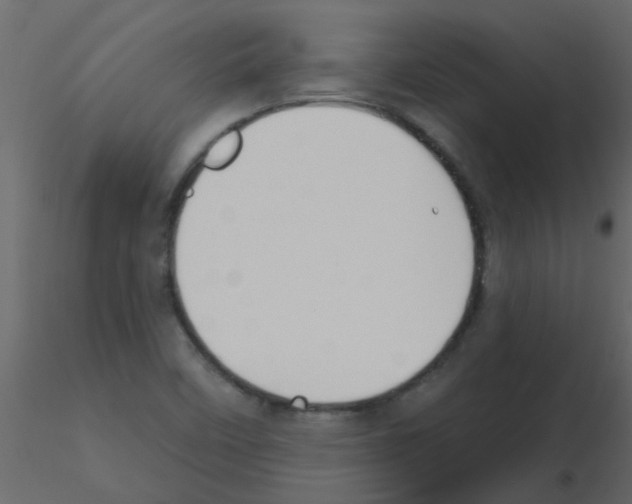 X0000115771458200912241740