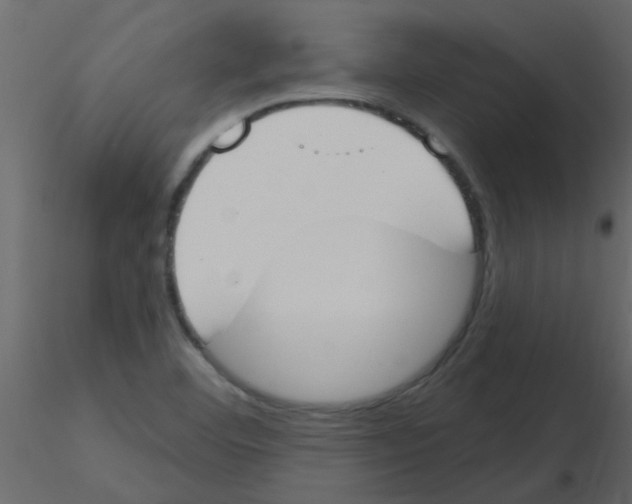 X0000115771460200912241740