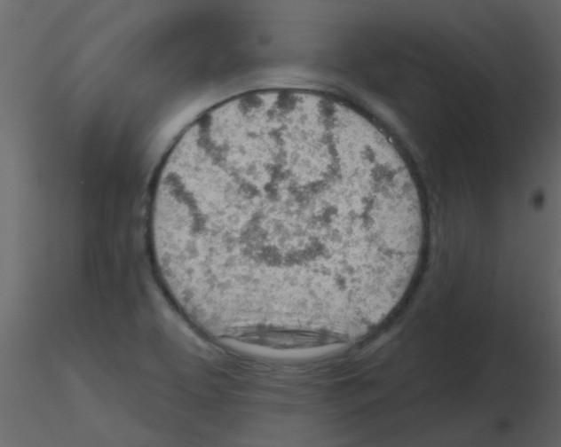 X0000115771463200912241740