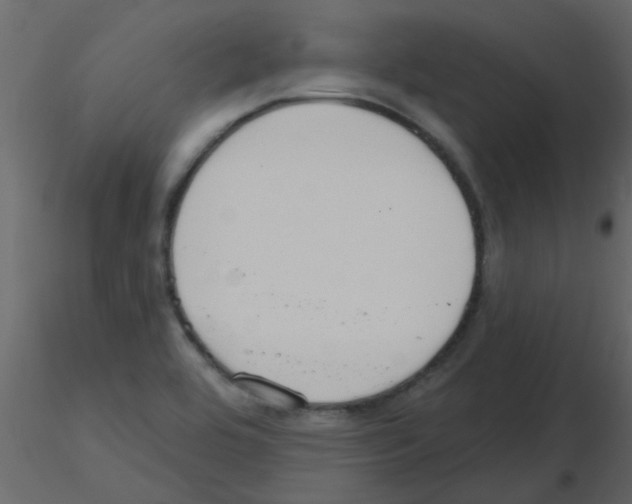 X0000115771464200912241740