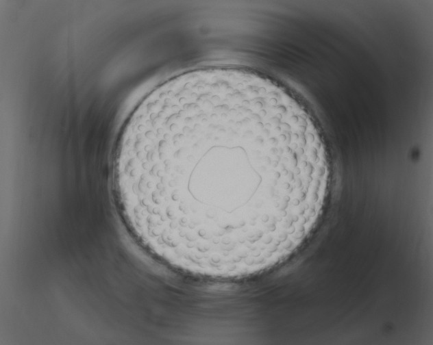 X0000115771467200912241739