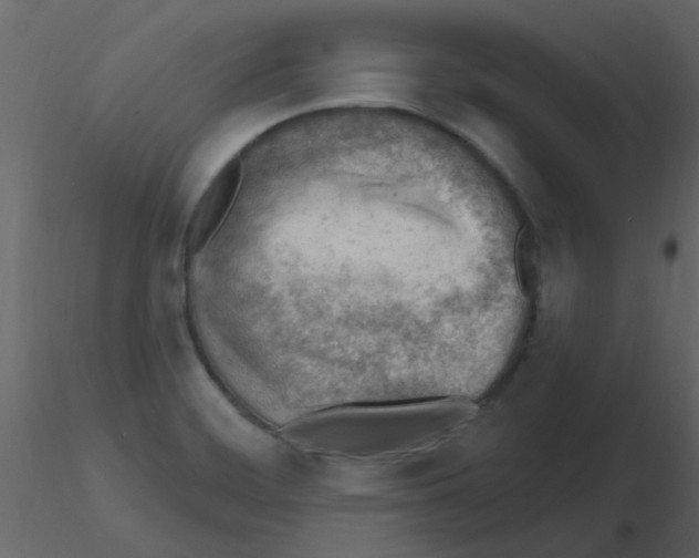 X0000115771468200912241739