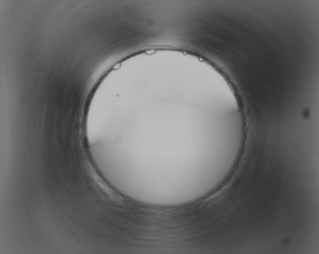 X0000115771469200912241739