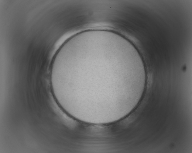X0000115771470200912241739
