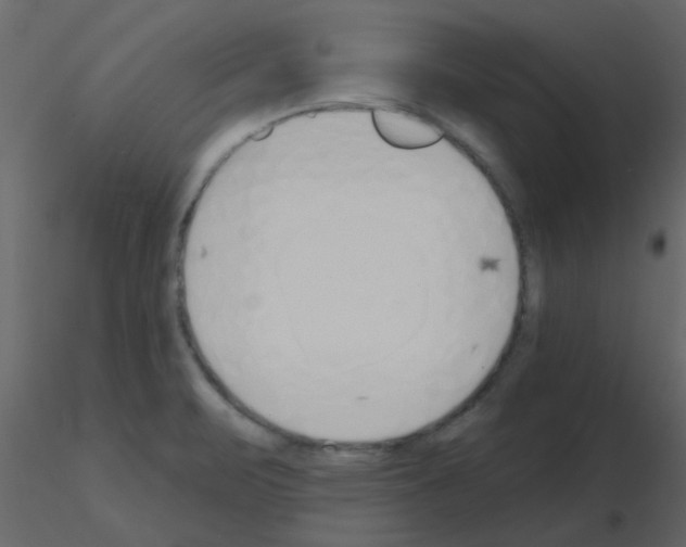 X0000115771471200912241739
